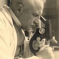 BruynogheR002.jpg