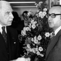 MorelleJ009.jpg