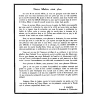 BruynogheR010.pdf