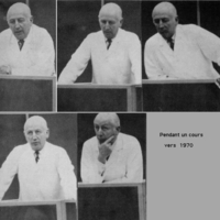 FERINJ004.jpg